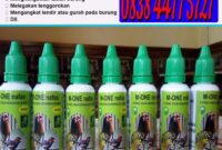 Daftar obat untuk lovebird sesuai penyakitnya