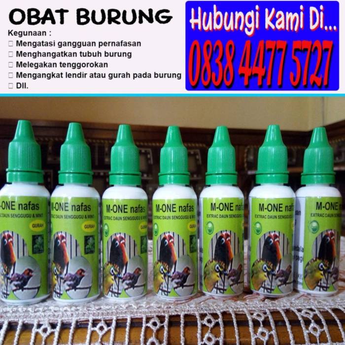 Daftar obat untuk lovebird sesuai penyakitnya