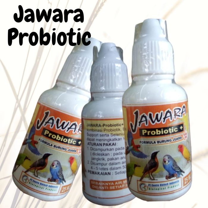 Daftar obat untuk lovebird sesuai penyakitnya