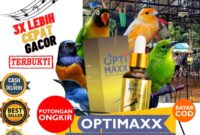 Tips memilih vitamin untuk burung kicau