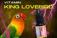 Pilihan ramuan untuk lovebird untuk menambah stamina