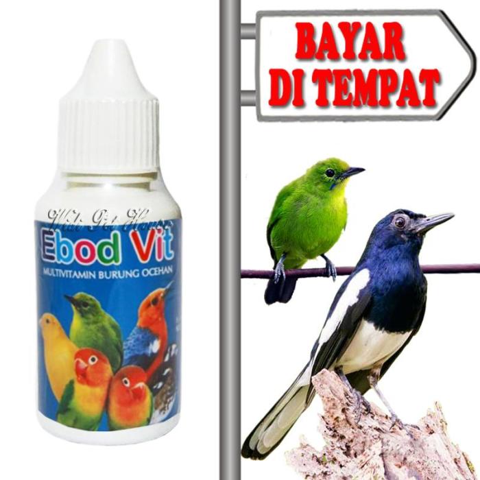 Tips memilih vitamin untuk burung kicau