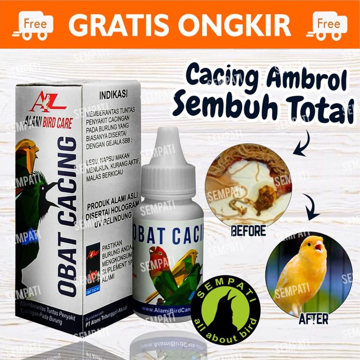 Obat alami burung cendet sakit cacingan yang ampuh