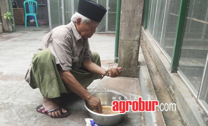 Ramuan untuk memandikan burung dan pembuatannya