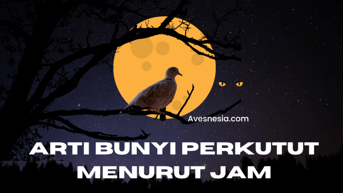 Arti bunyi perkutut menurut jam