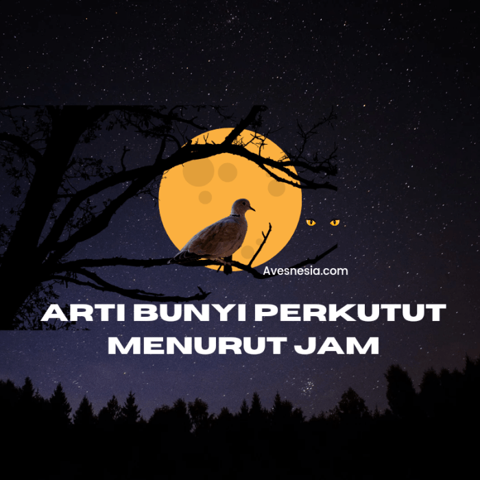 Arti bunyi perkutut menurut jam