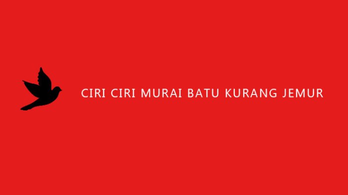 Ciri ciri murai batu kurang jemur