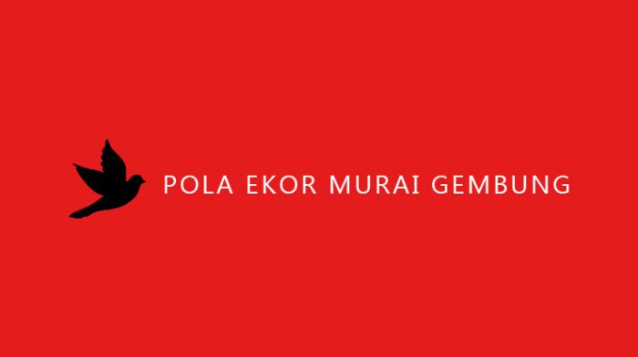 Pola ekor murai gembung