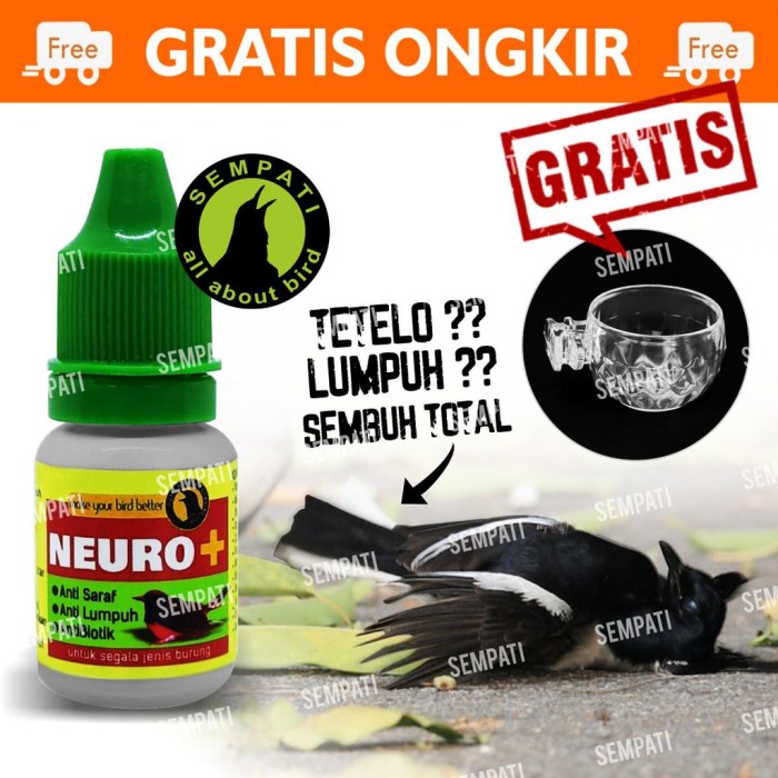 Obat murai batu lumpuh