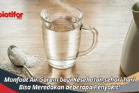 Manfaat air garam untuk murai batu