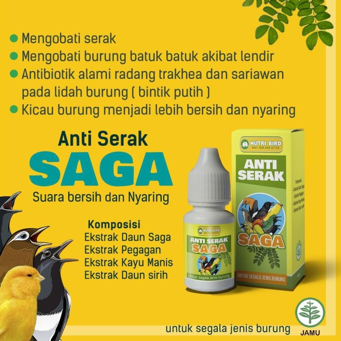 Berikut cara mengobati murai batu sakit dengan mudah