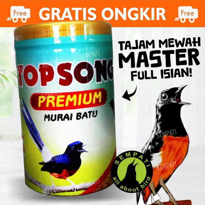 Pakan burung murai batu