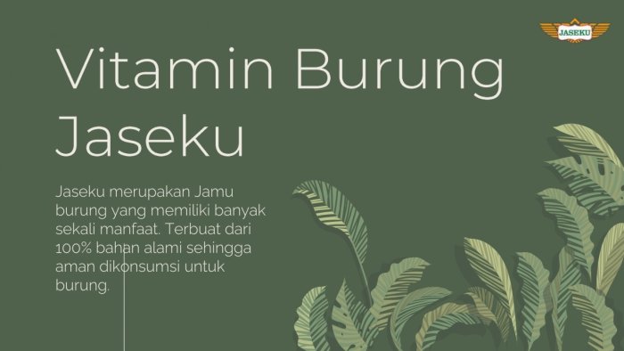 Jenis vitamin untuk murai batu