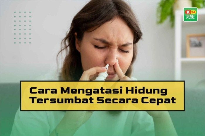 Cara mengatasi lovebird pilek agar segera sembuh