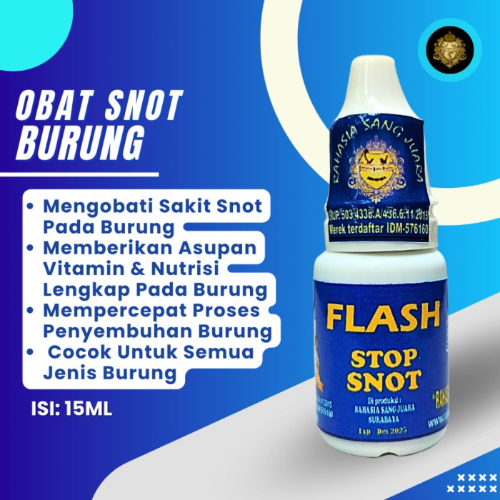 Mengenal gejala murai batu terkena snot