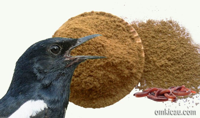 Telur kuning burung kicauan tepung pengering